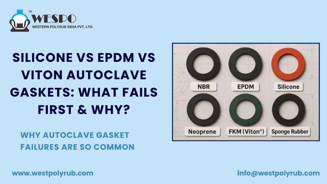 autoclave gaskets